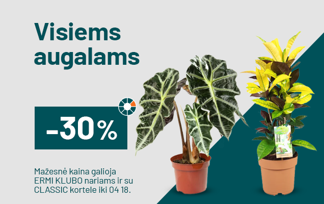 -30% Visiems augalams