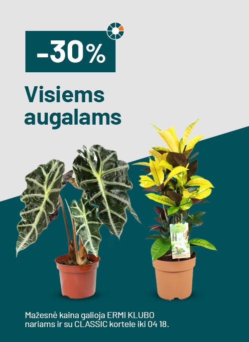 -30% Visiems augalams