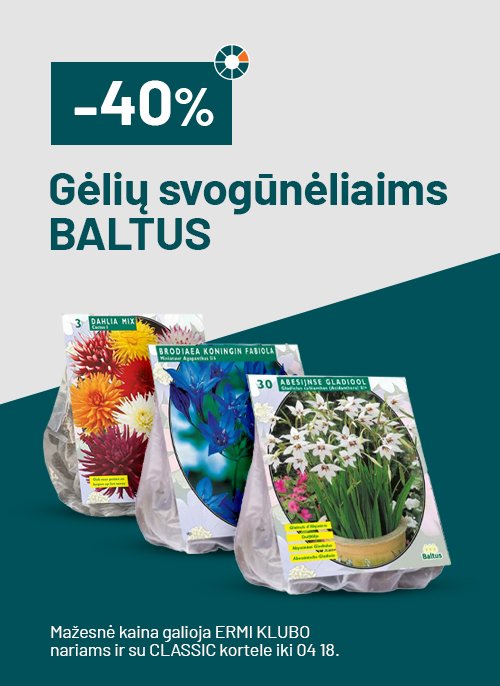 -40% Gėlių svogūnėliaims BALTUS