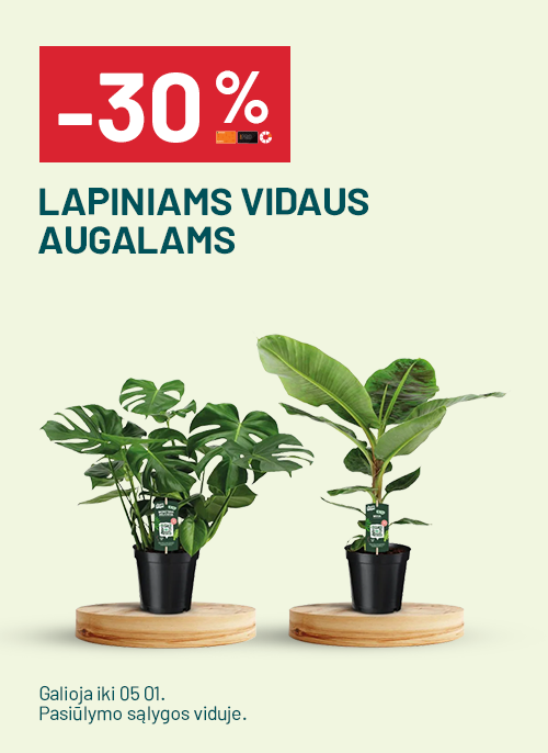 -30% LAPINIAMS VIDAUS AUGALAMS