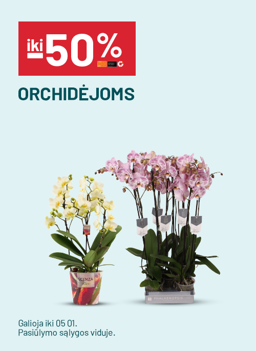 iki -50% Orchidėjoms